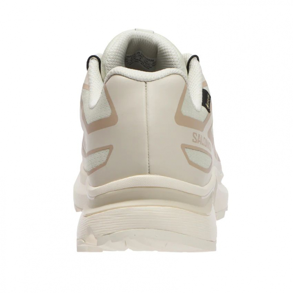 2025秋冬 サロモン エックスティー GTX イーブイアール L47803400