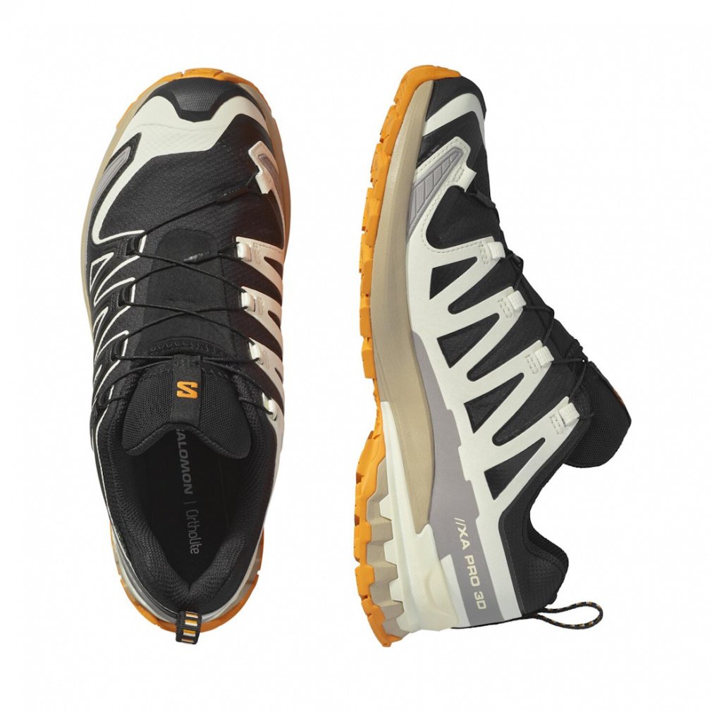 エックスエー プロ 3D V9 ゴアテックス XA PRO 3D V9 GTX｜Alpen Online