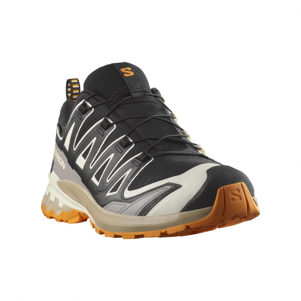 2025秋冬 サロモン エックスエー プロ 3D V9 ゴアテックス L47881900