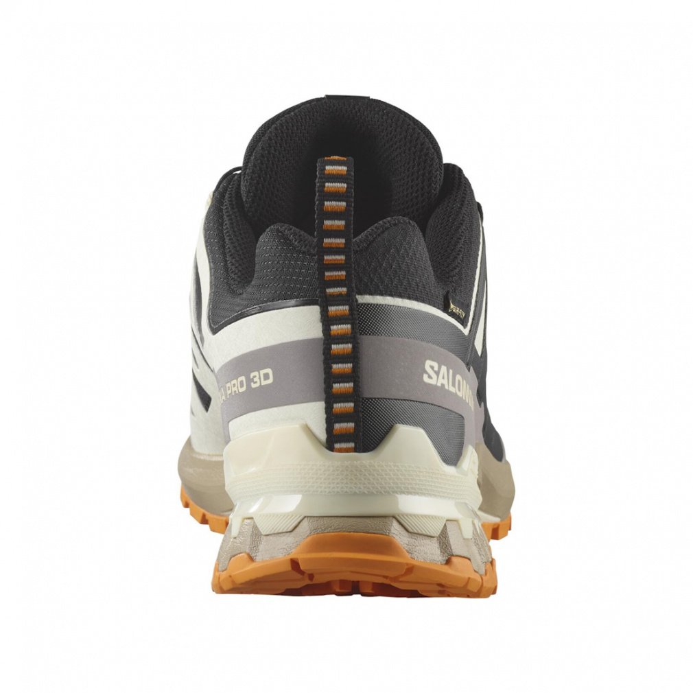 2025秋冬 サロモン エックスエー プロ 3D V9 ゴアテックス L47881900