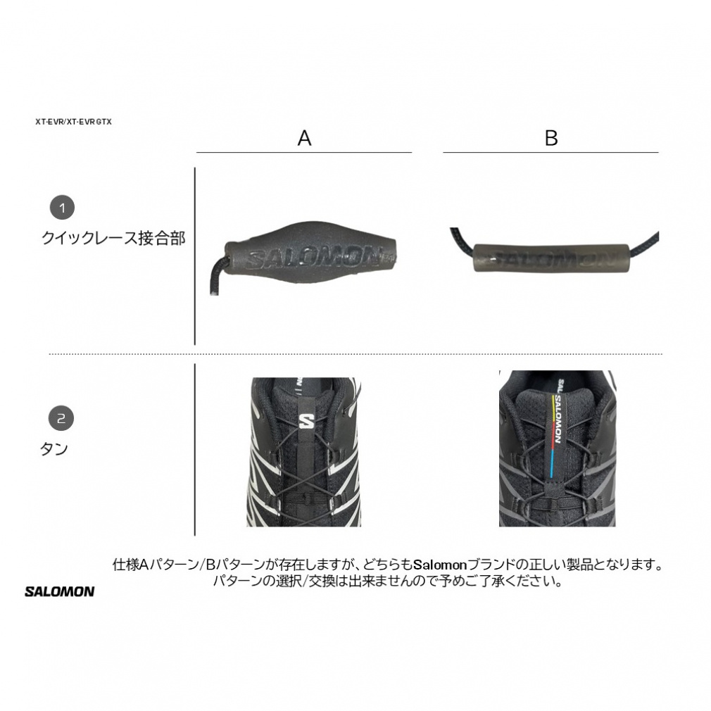 2025秋冬 サロモン エックスティー ゴアテックス イーブイアール
