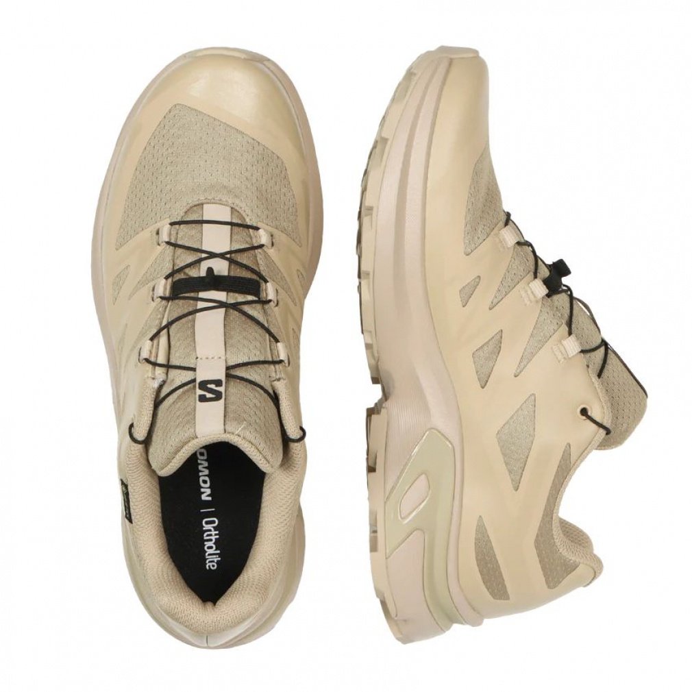 2025秋冬 サロモン エックスティー ゴアテックス イーブイアール