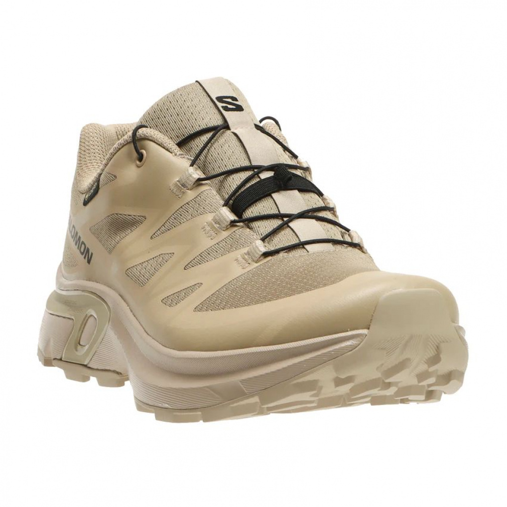 2025秋冬 サロモン エックスティー ゴアテックス イーブイアール