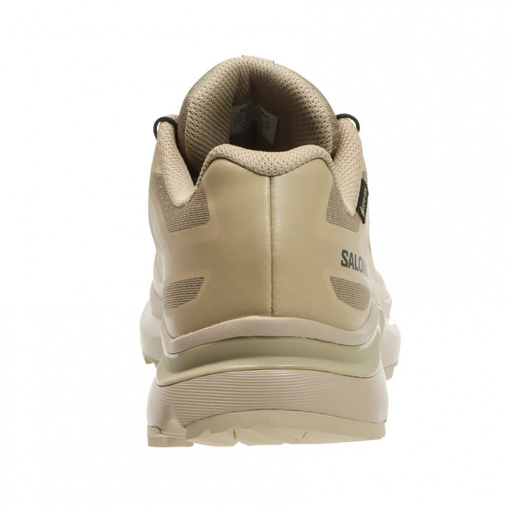 2025秋冬 サロモン エックスティー ゴアテックス イーブイアール