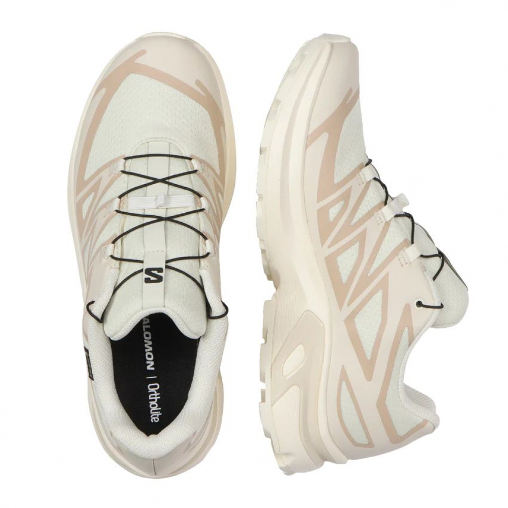 2025秋冬 サロモン XT-EVR GTX L47803500 レディース トレッキング