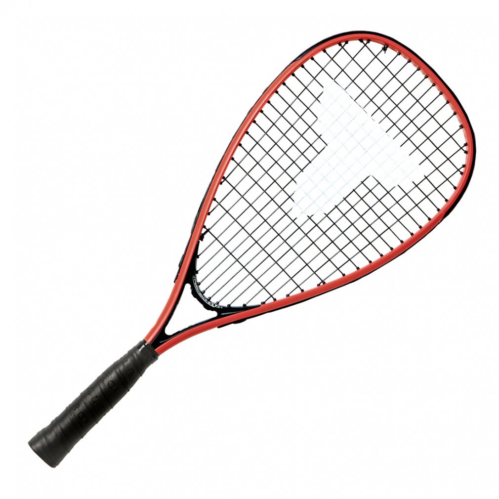 アウトドアバドミントン 楽天市場】【風があっても楽しめる！】タルボットトロ スピード