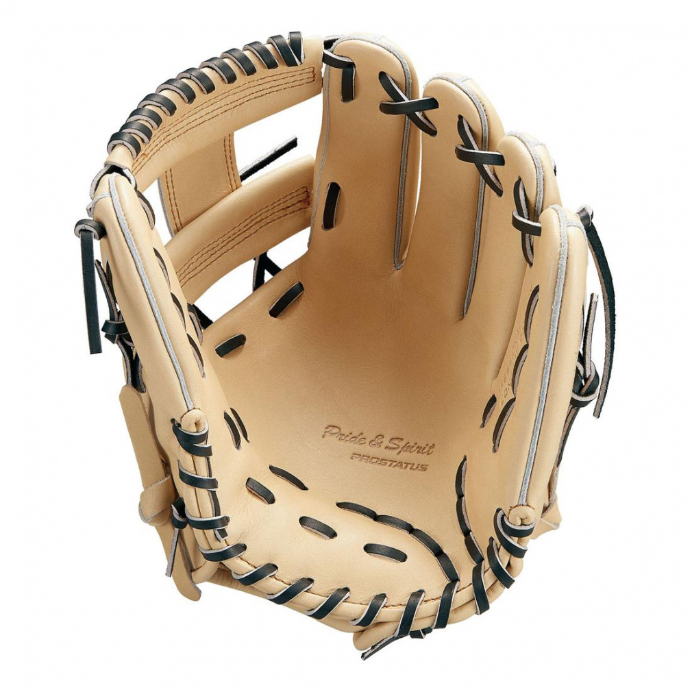 プロステイタス 矢野モデル　軟式 ゼット プロステイタス 軟式グラブ | 外野手用 | 富士山 雲海 - 野球