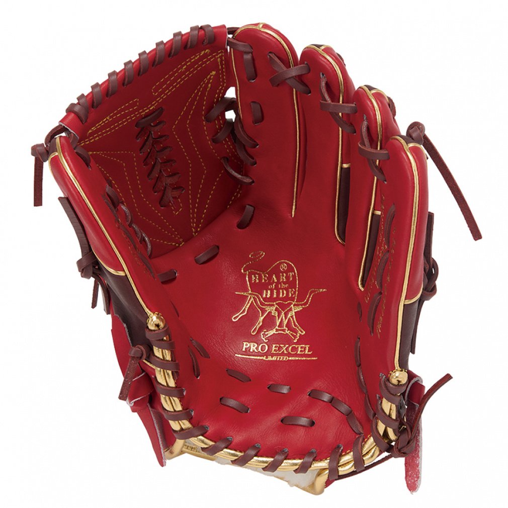 軟式 HOH PRO EXCEL Wizard #02 COLORS 投手用｜Alpen Online