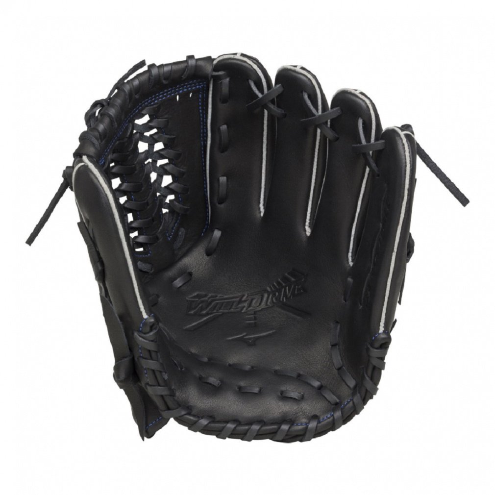 ソフトボール用WILLDRIVE BLUE 投手向け サイズ11｜Alpen Online