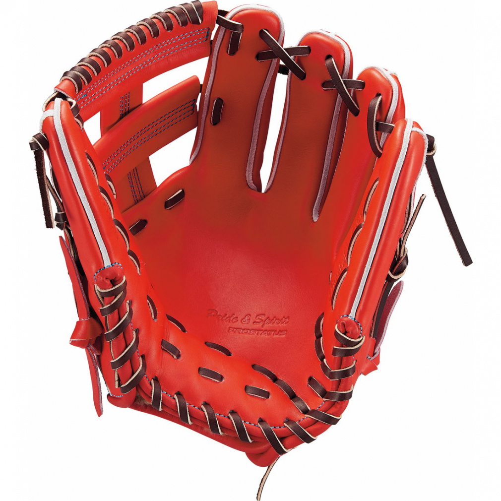 新品未使用！ 【DLスポーツ　限定レイボーシリーズグラブ】 DLスポーツ 限定レイボーシリーズグラブ】 新品未使用