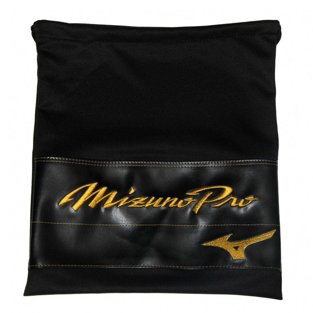 ミズノ 硬式用ミズノプロ號SAKEBI Harder 捕手用 1AJCH30220 硬式用