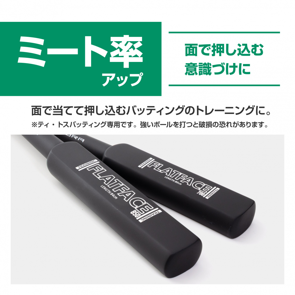 ティゴラ トレーニングバット フラット TR-8BG FLATF 80 軟式用 野球