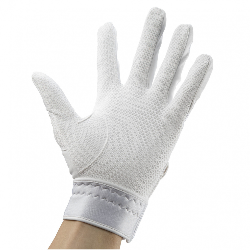 ミズノ メンズ 野球 バッティング用手袋 両手用 WILLDRIVE BLUE ウィル