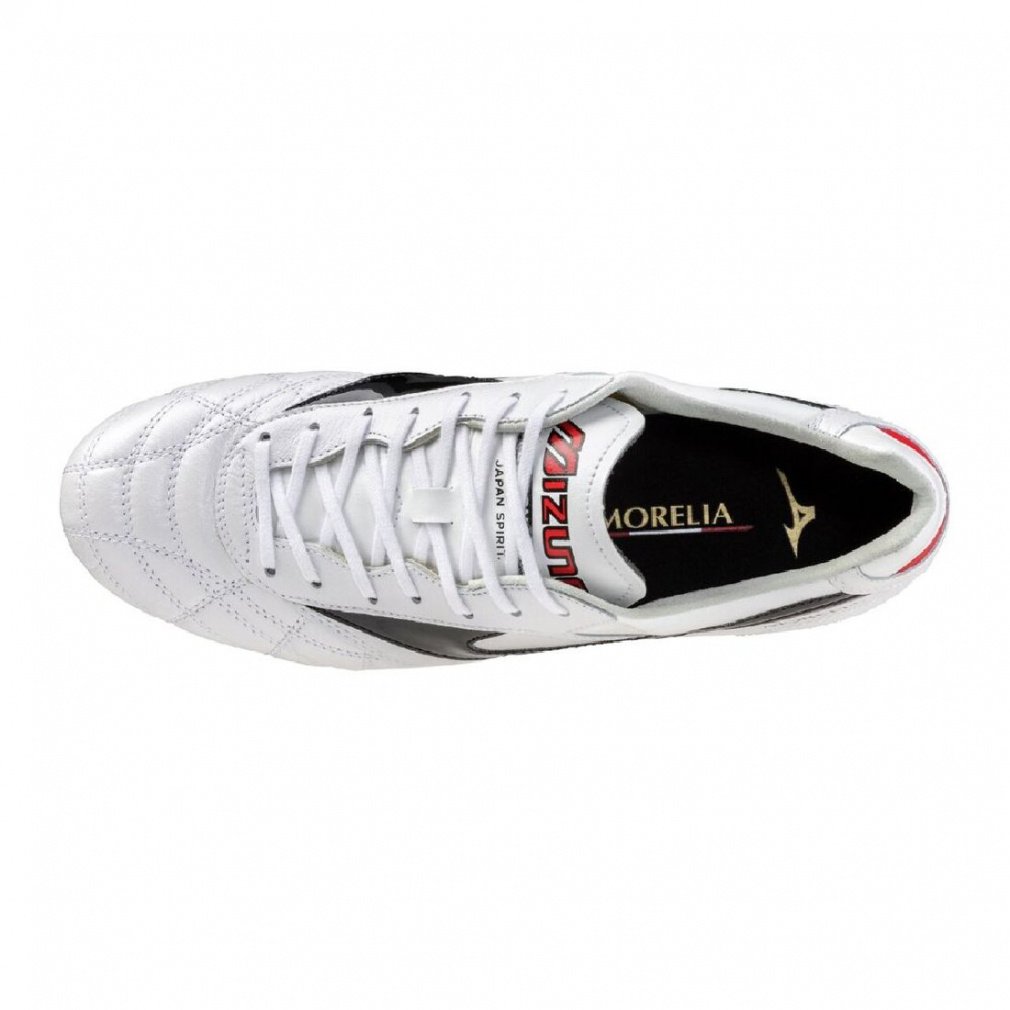 モレリア2 JAPAN MIX｜Alpen Online