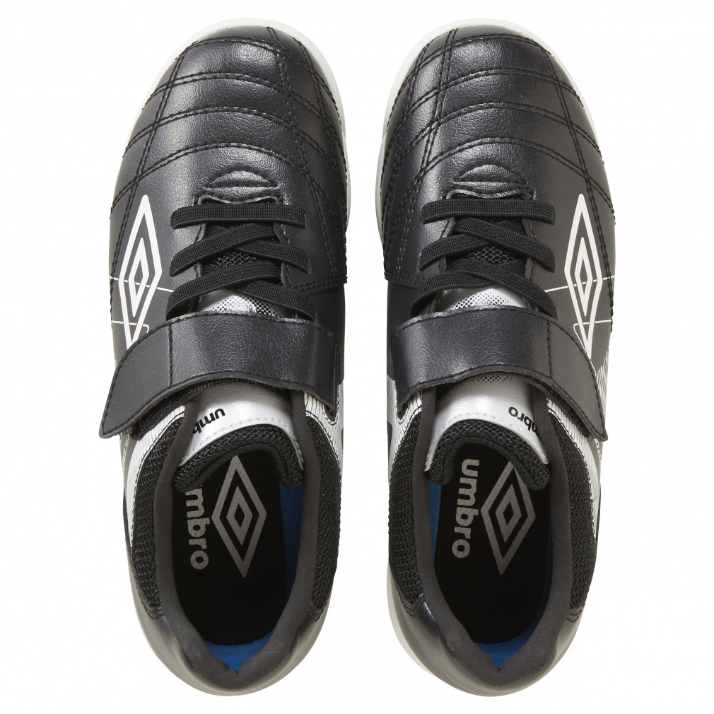 シュタイフ　アントニア アンブロ アクセレイター SB JR WIDE UF5SFCT6J ジュニア(キッズ・子供