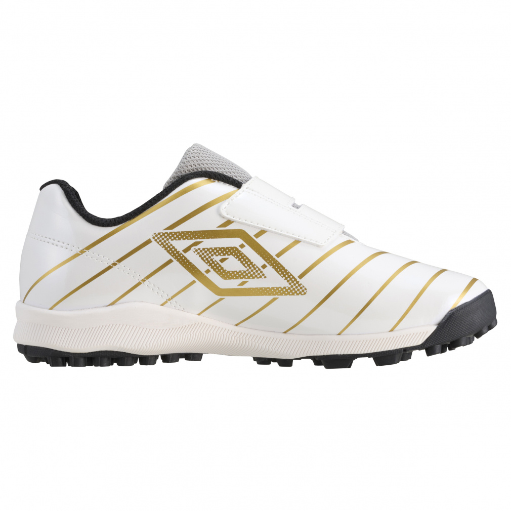 【専用】 アルベロベロ アンサンブル SEMPRE(センプレ)で取り扱われていたartek(アルテック)社のAlvar Aalto