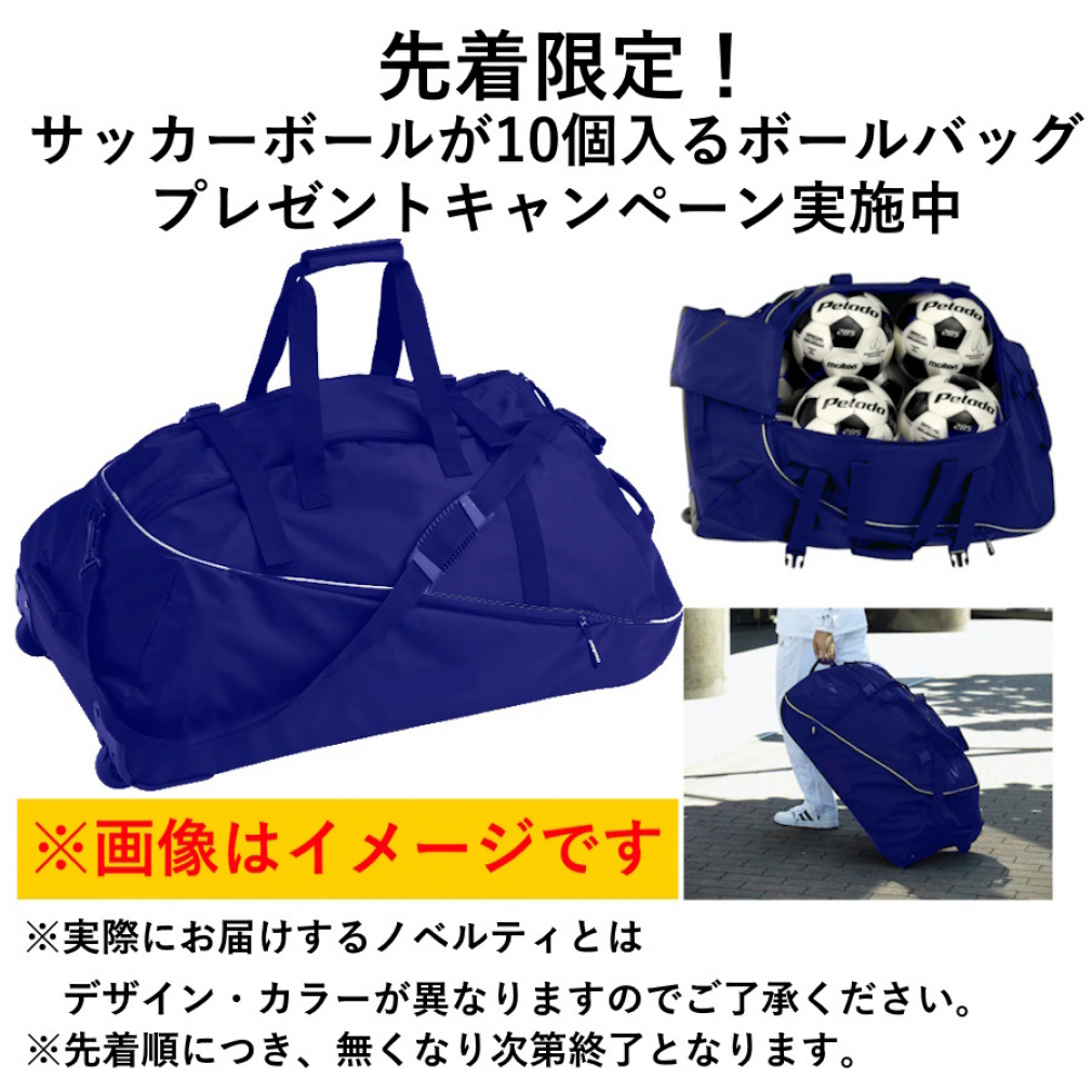 ペレーダ3000 4号球 5個セット｜Alpen Online