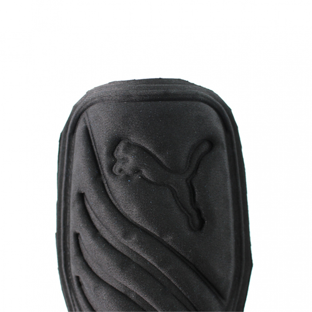 パワーキャット ライト IND｜Alpen Online