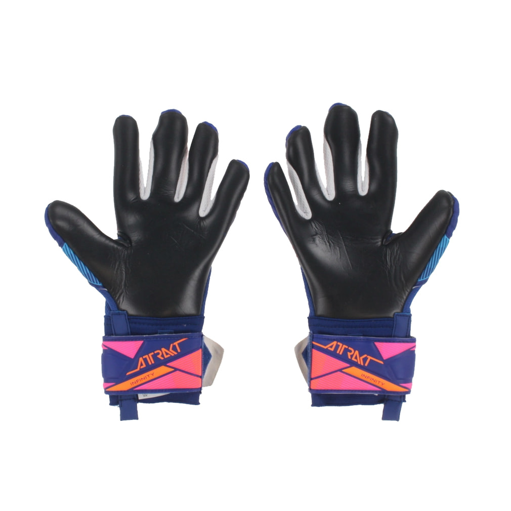 ロイシュ アトラクトインフィニティエボリューション NCジュニア