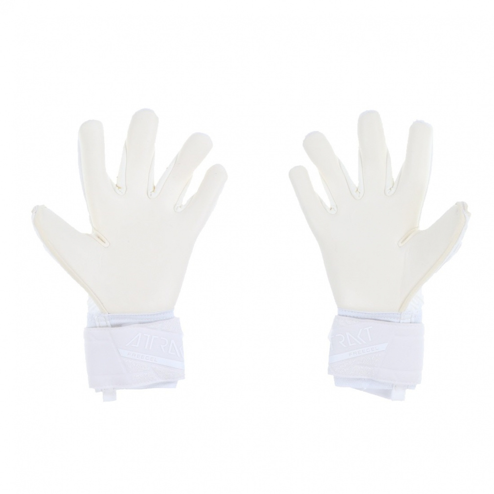 ロイシュ アトラクト フリーゲル ゴールドX 5470036 サッカー