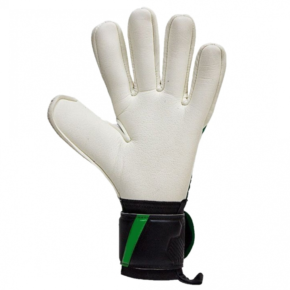 フェノメノン プロ2 ネガティブ グリーン｜Alpen Online