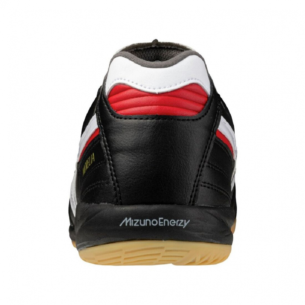 モレリア SALA ELITE IN｜Alpen Online