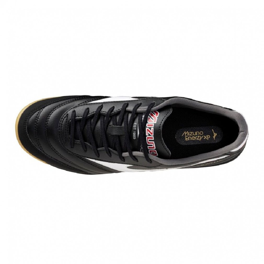 モレリア SALA PRO IN｜Alpen Online