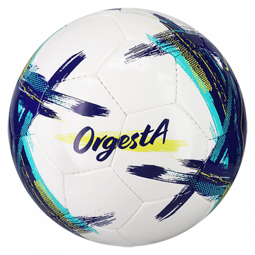 ミカサ フットサル OrgestA 検定球4号 手縫い FS451E-BL フットサル