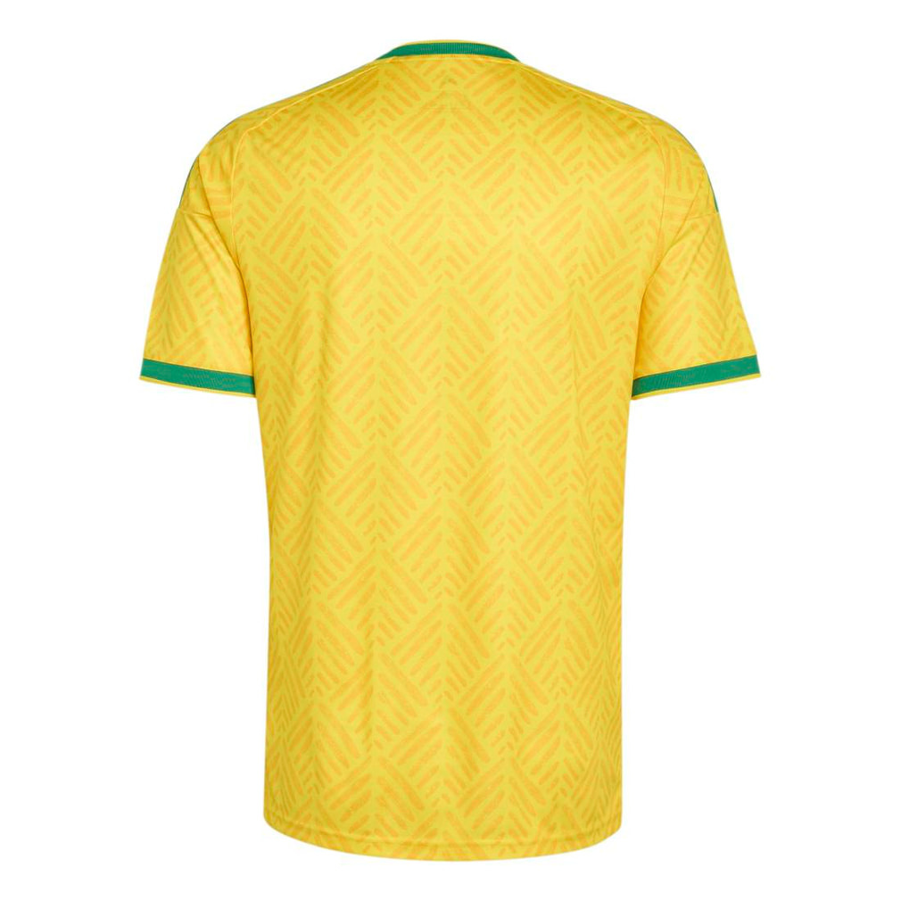 アディダス メンズ サッカー/フットサル ライセンスシャツ 南アフリカ