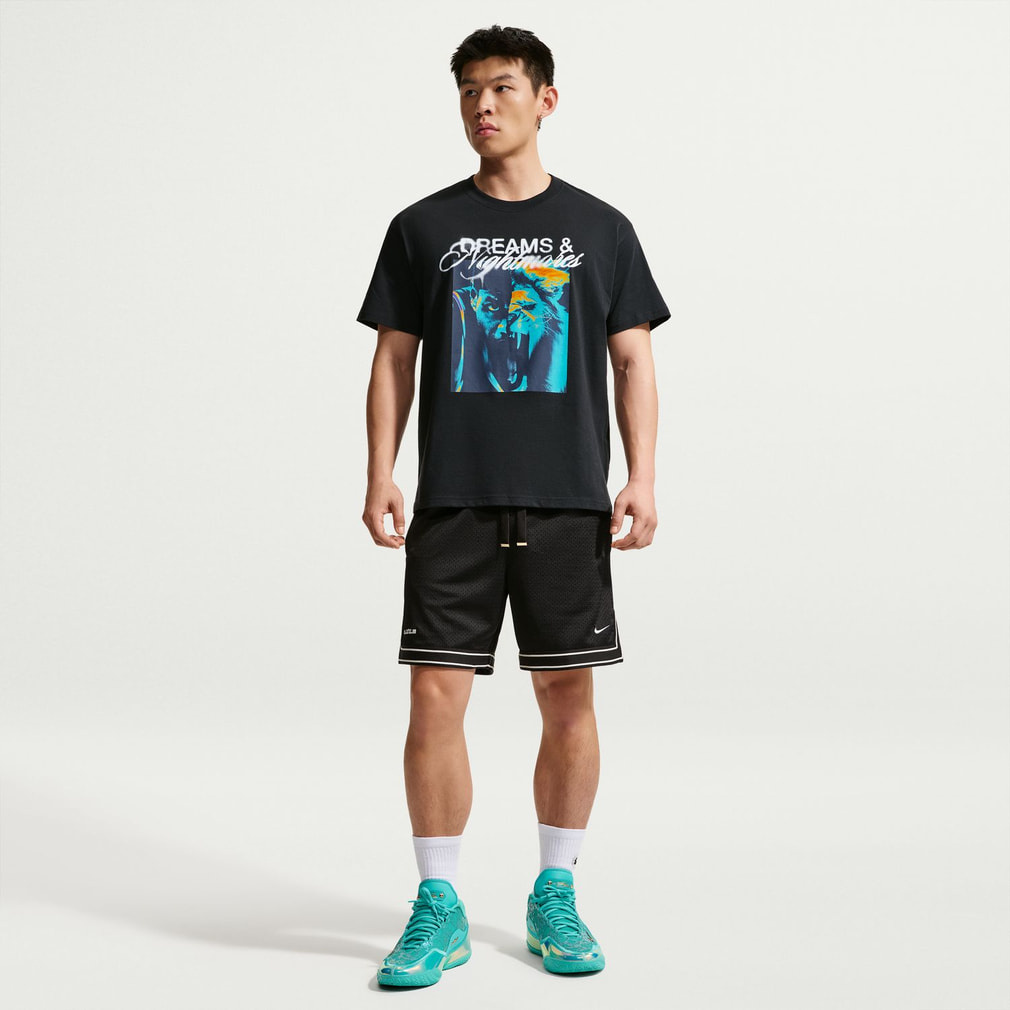 ナイキ メンズ レディス バスケットボールウェア 半袖Tシャツ レブロン
