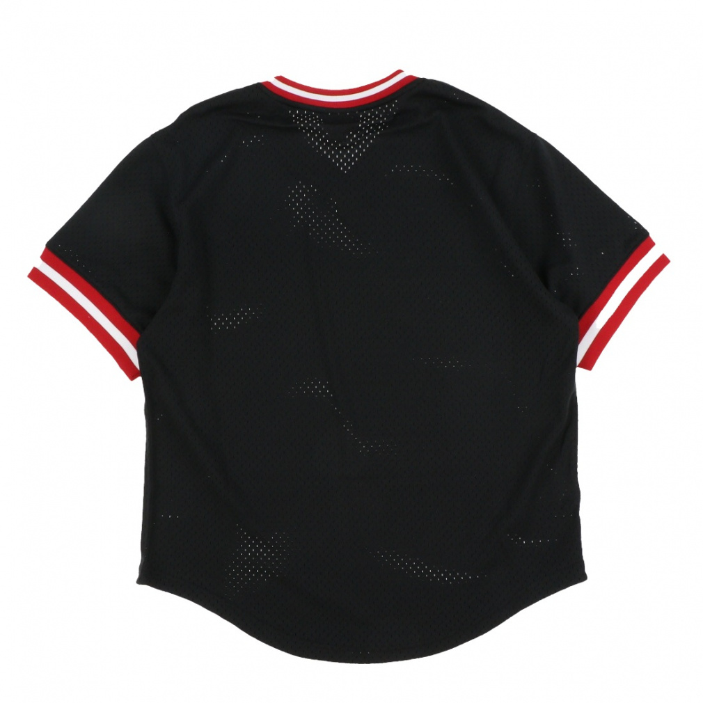 NBA FASHION MESH V-NECK VINTAGE LOGO シカゴ・ブルズ｜Alpen