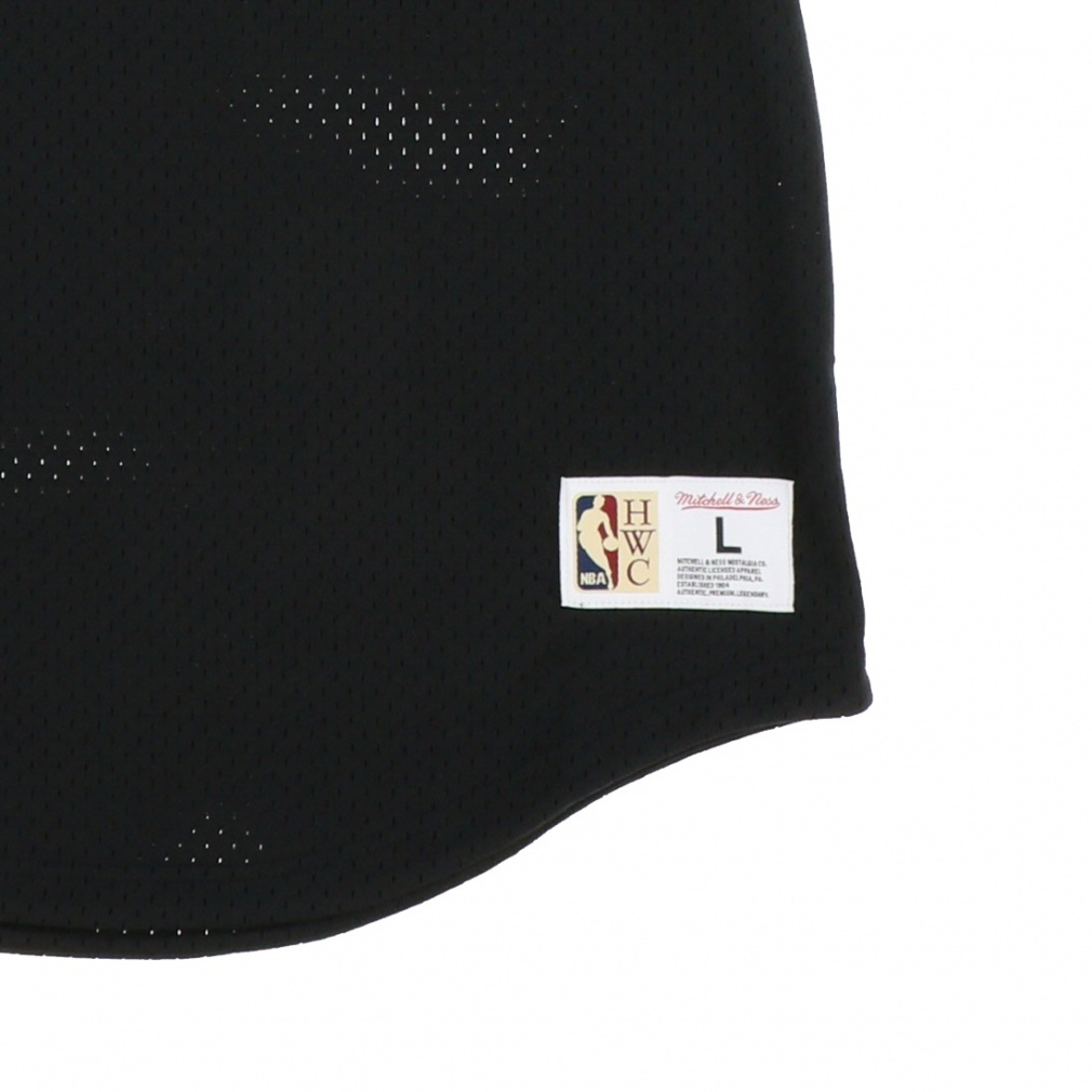 NBA FASHION MESH V-NECK VINTAGE LOGO シカゴ・ブルズ｜Alpen