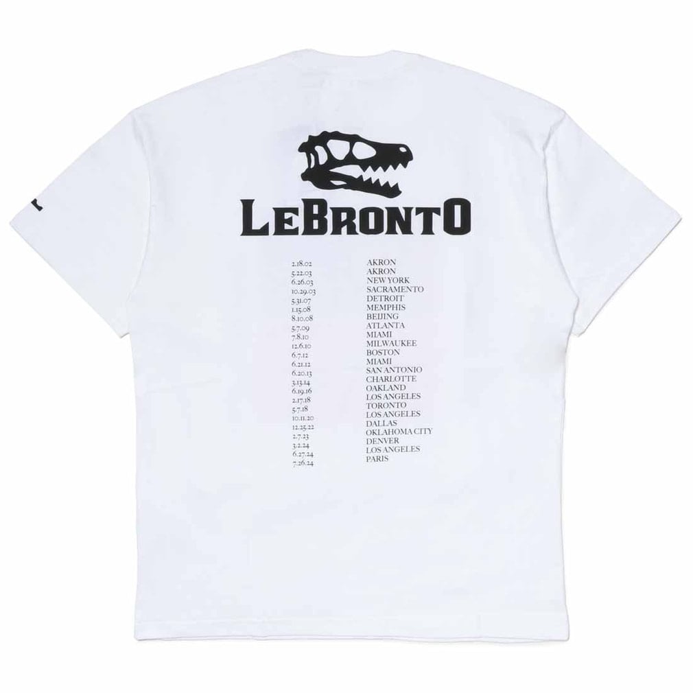 ナイキ メンズ レディス バスケットボール 長袖Tシャツ レブロン