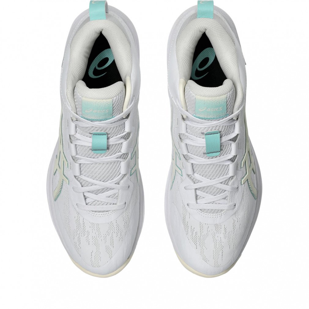 ゲルフープ V17 STANDARD｜Alpen Online