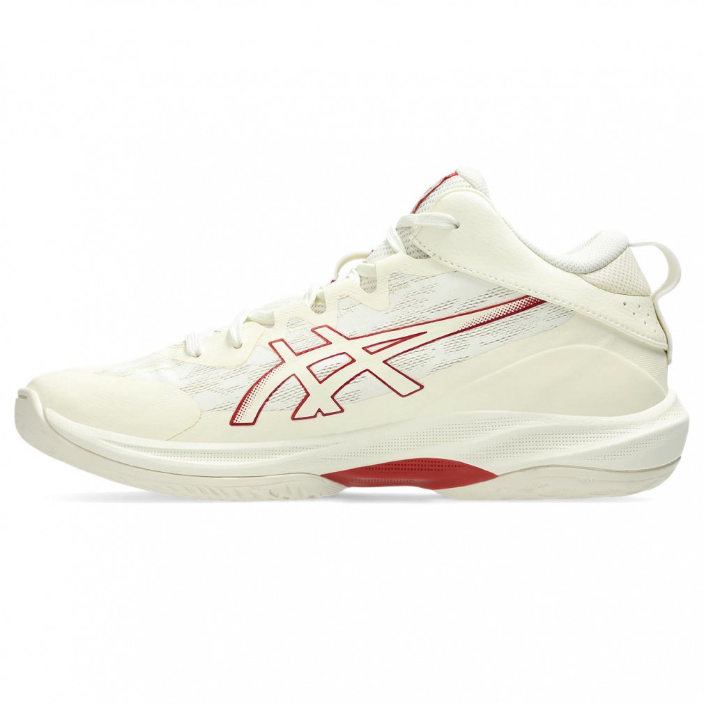 ゲルフープ V17 STANDARD｜Alpen Online