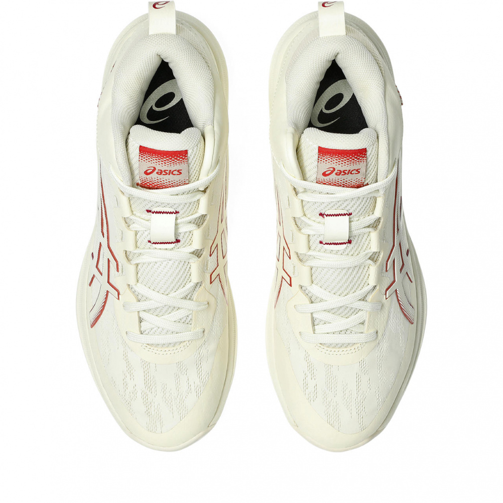 ゲルフープ V17 STANDARD｜Alpen Online