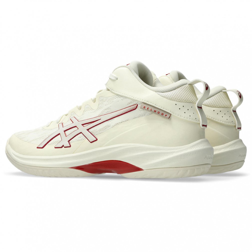 ゲルフープ V17 STANDARD｜Alpen Online