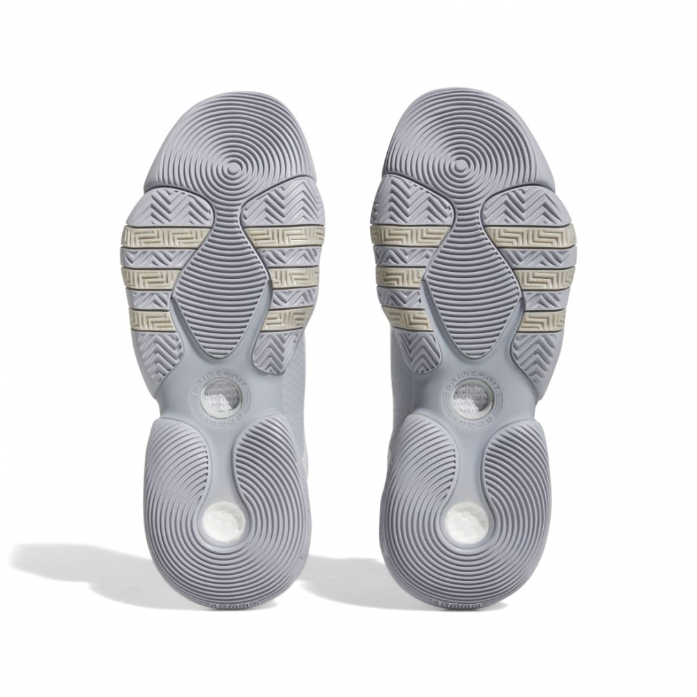 トレイ・ヤング2｜Alpen Online