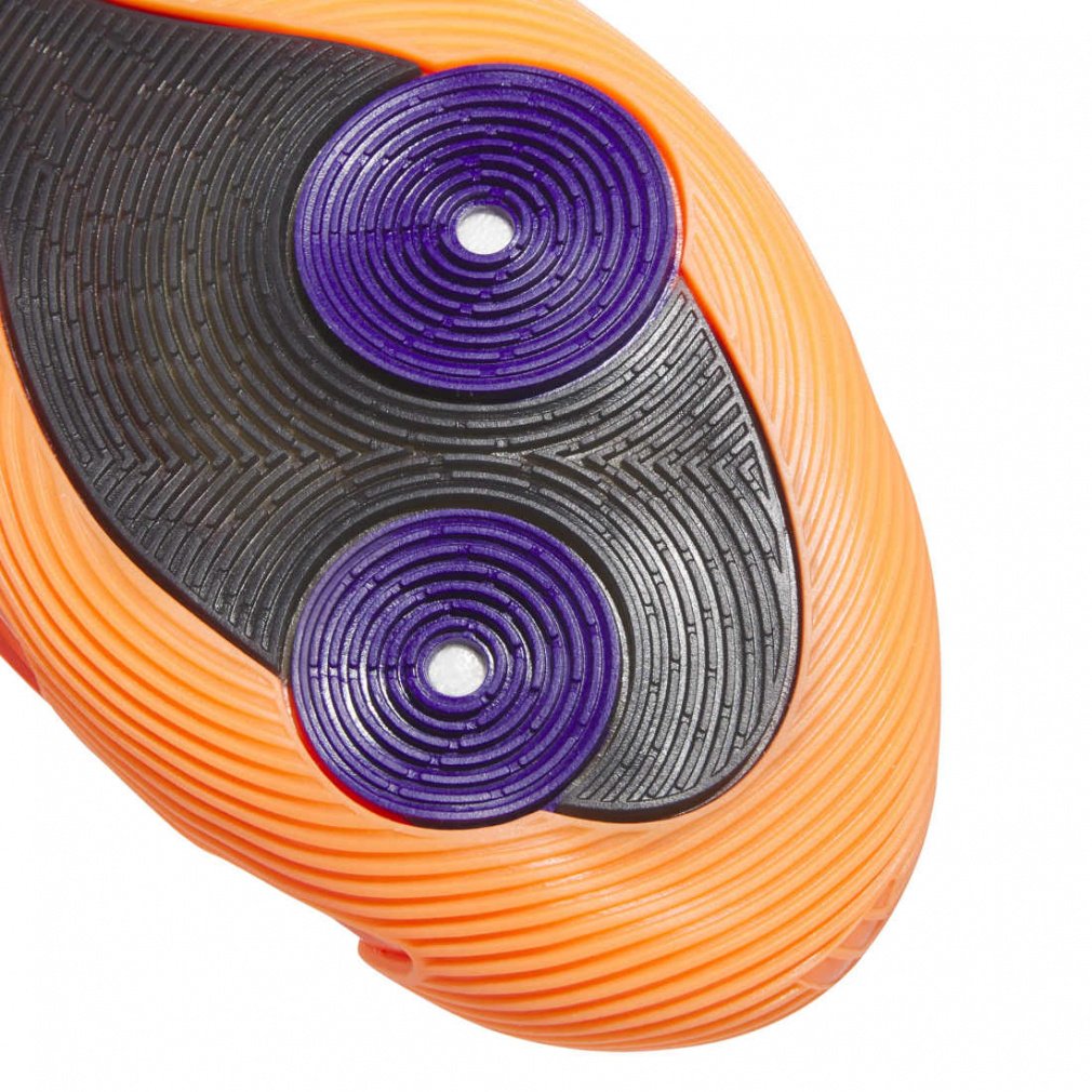 ハーデン ボリューム 9｜Alpen Online