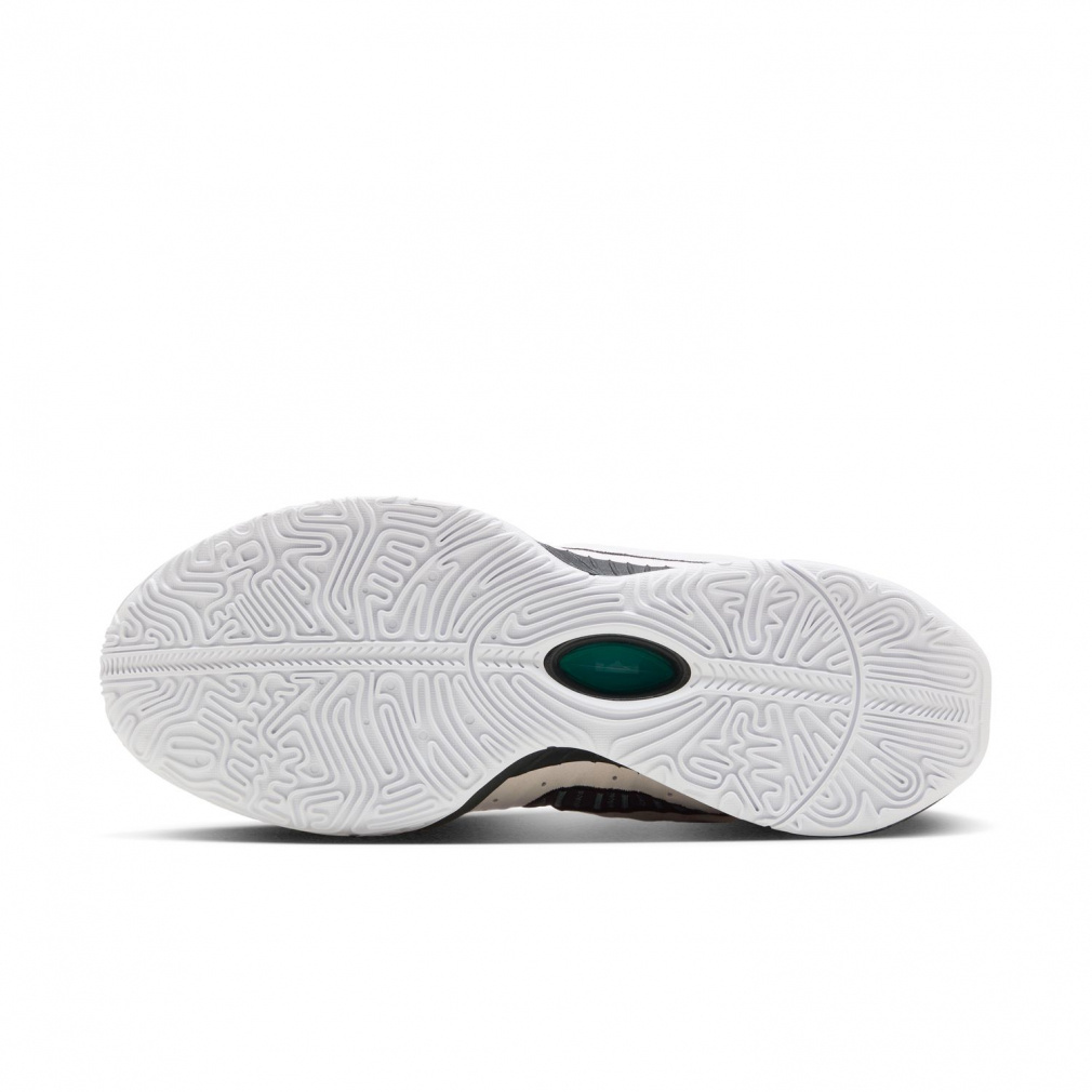 ナイキ LeBron XXI Conchiolin EP レブロン 21 コンキオリン EP