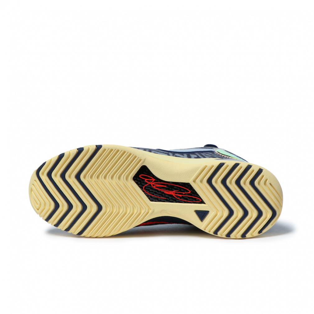 新品未使用　 バッシュフルライオン ナイキ（NIKE）（メンズ）バスケットシューズ バッシュ レブロン NXXT