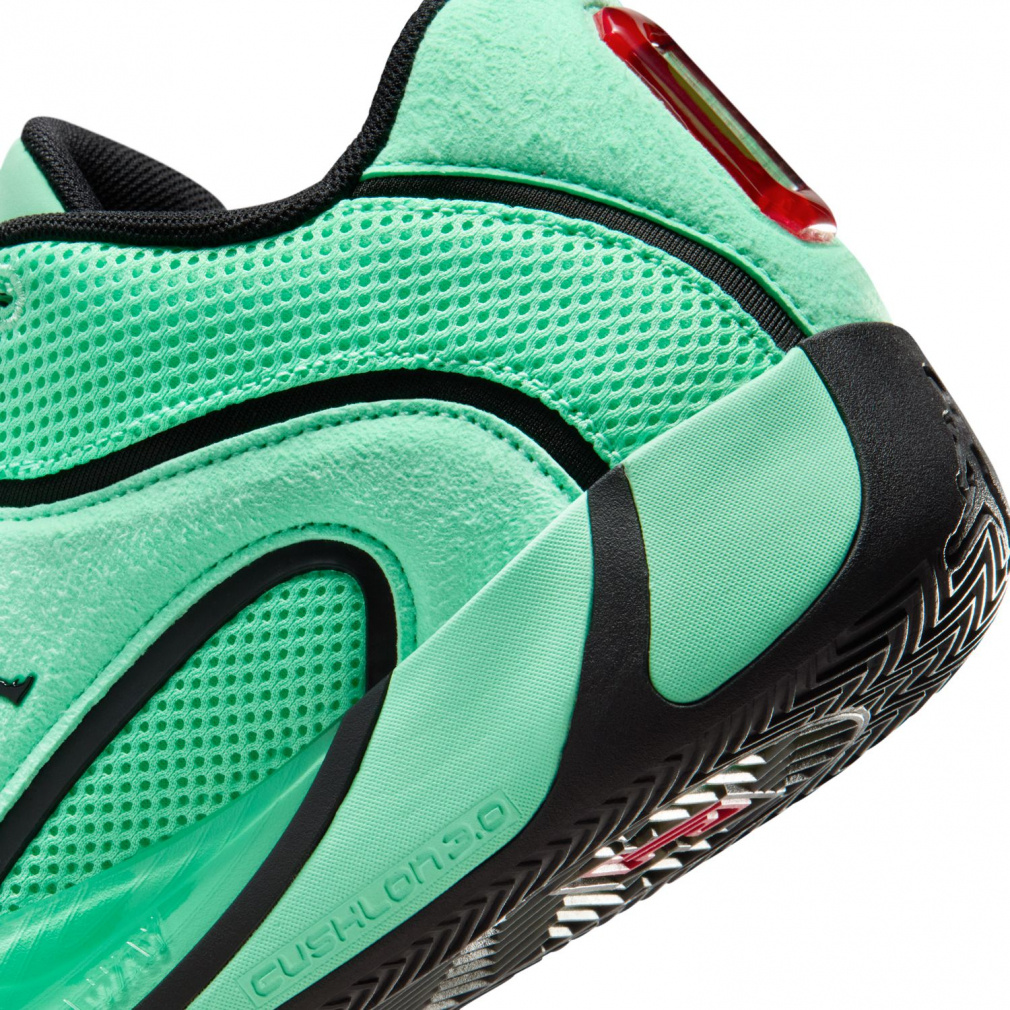 テイタム 4 PF｜Alpen Online