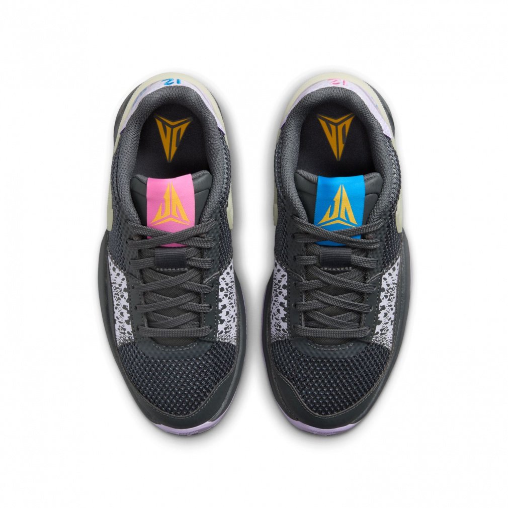 シューズ(男性用) Nike Ja 1 (GS) 22cm JA 1 GS｜Alpen Online