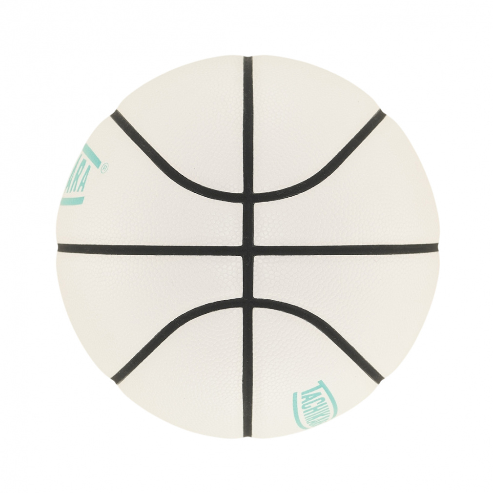 タチカラ MINI BASKETBALL size3 SB3-202 ミニ バスケットボール 練習