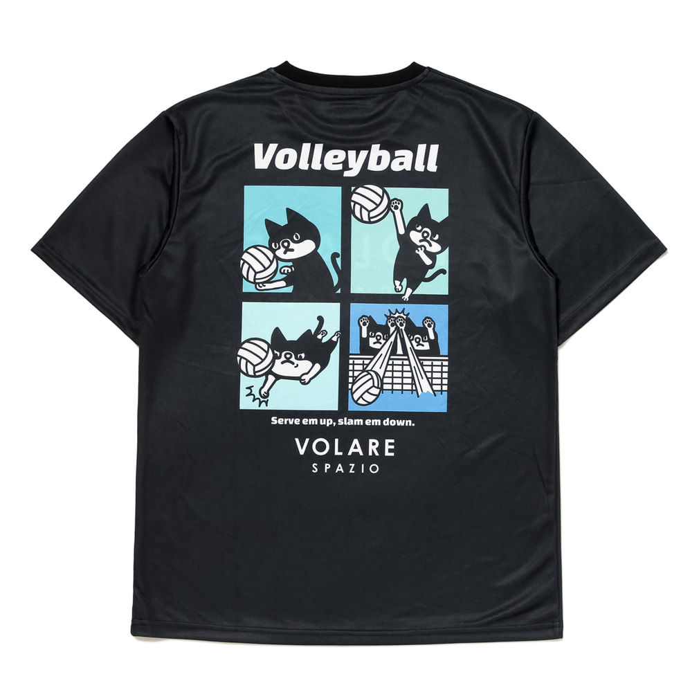 スパッツィオ メンズ レディス バレーボール 半袖Tシャツ Pippoバレー
