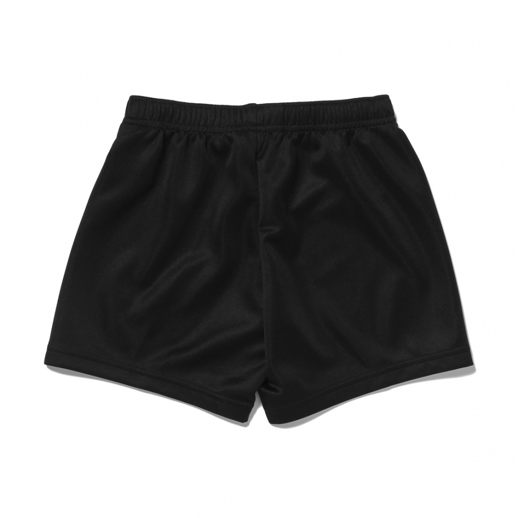 ☆激レア洛南高校ゲームパンツ ゲームパンツ(ウィメンズ)｜Alpen Online