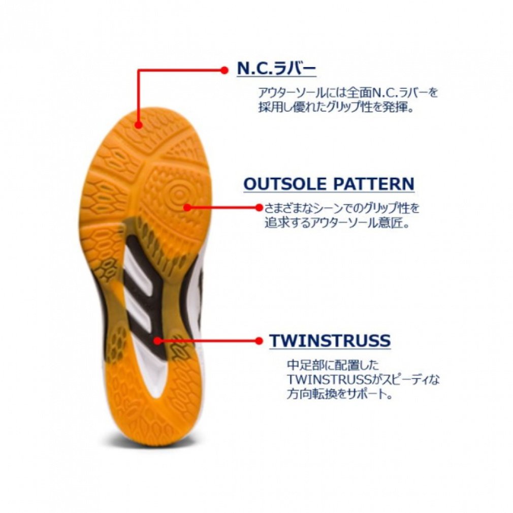asics ローテ ジャパン ライト FF 3 アルペン限定 25cm アシックス ROTE JAPAN LYTE FF 3 ローテ ジャパン ライト FF 3