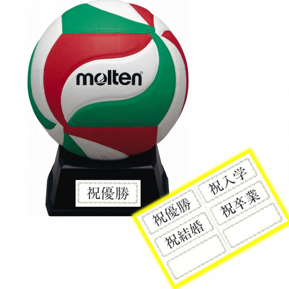 なるちゃむ出品 バレーボール サイン モルテン(molten) バレーボール サインボール (V1M500) | 卒業