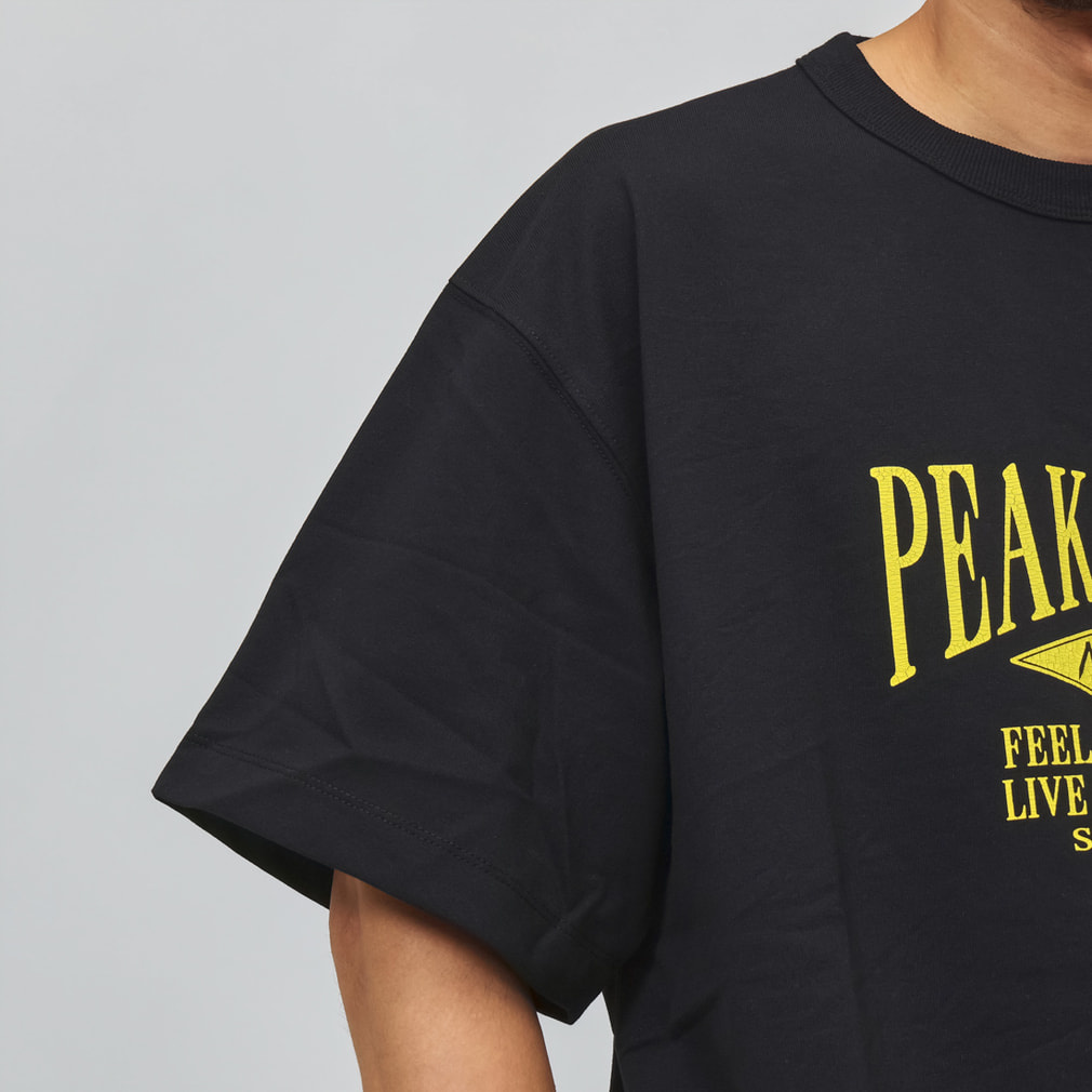 ナンガ メンズ アウトドアカジュアル 半袖Tシャツ ECO HYBRID PEAK