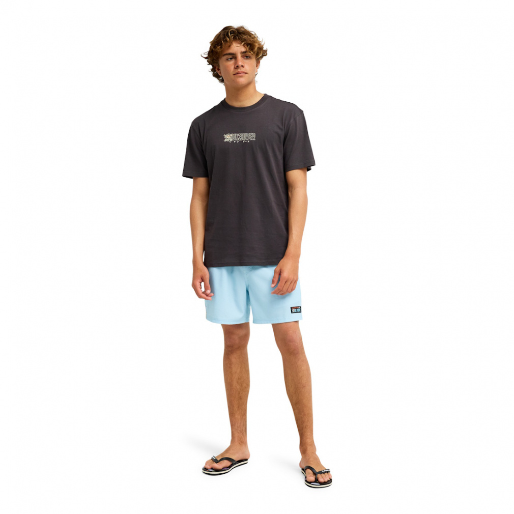 クイックシルバー メンズ アウトドアカジュアル 半袖Tシャツ OPQS